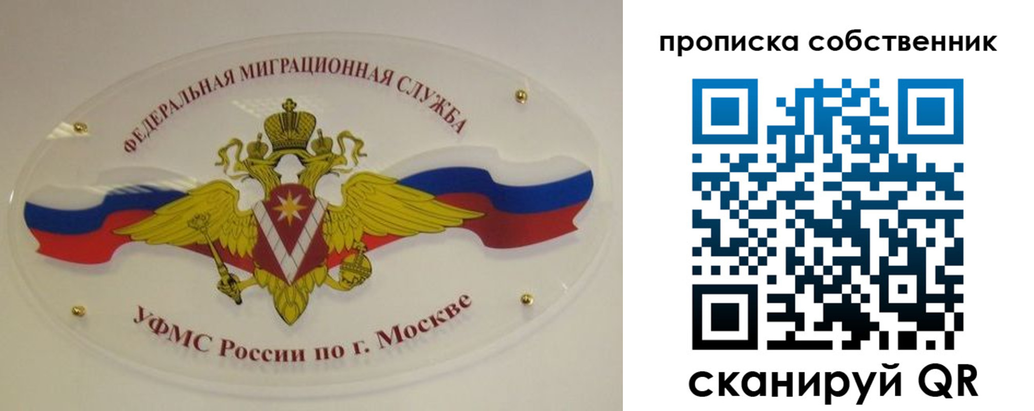 прописка 2025 в Данкове